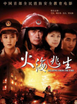 国产91小视频在线观看